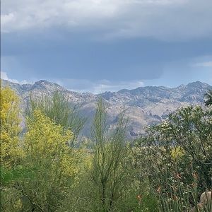 Meet your Posher, Robin